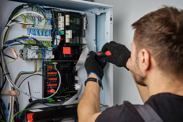Licensed Electrical Panel Upgrade service in Petersburg, MI - No Joke electrician